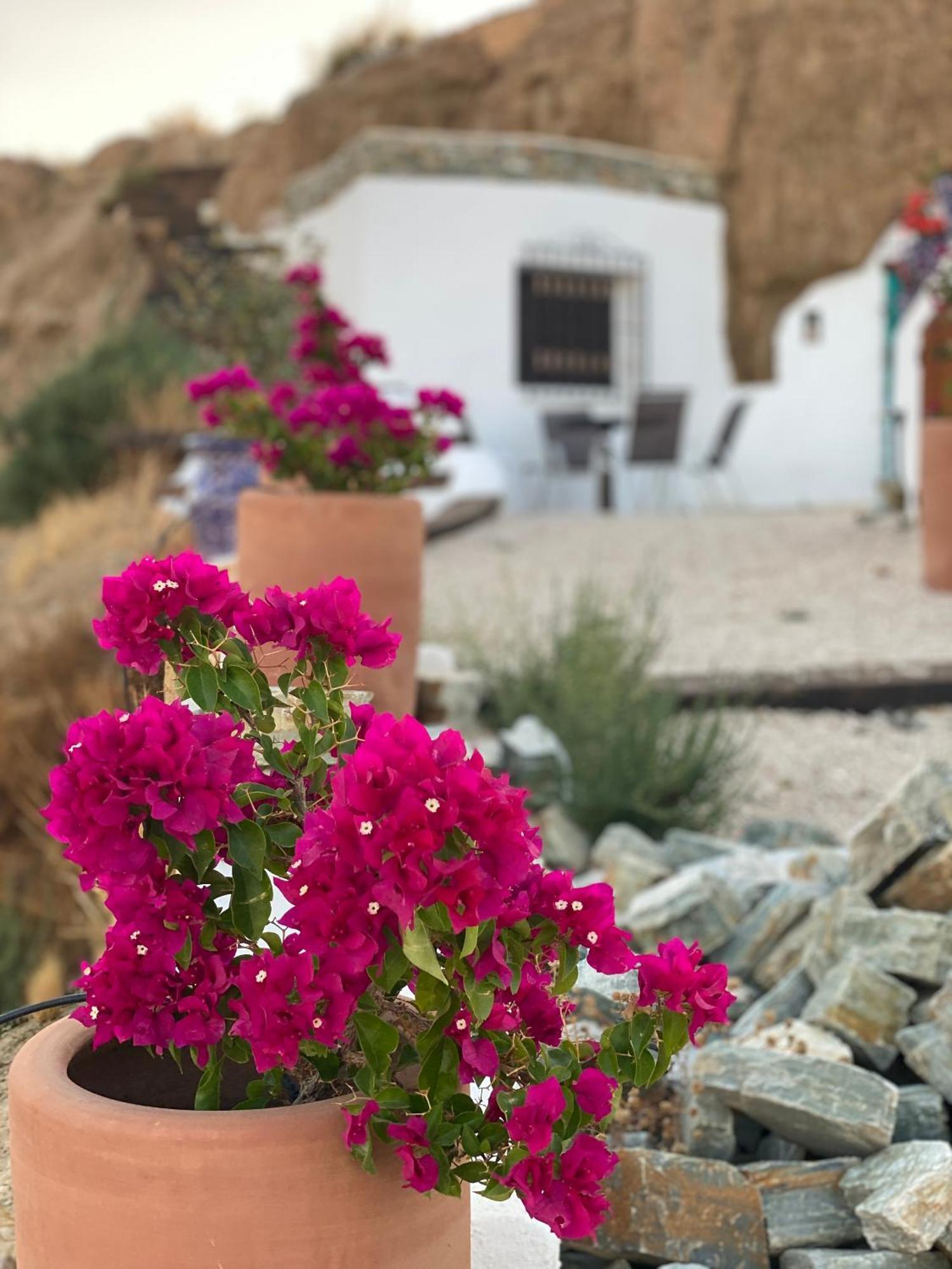 Cuevas Oro Y Arcilla Villa Guadix Dış mekan fotoğraf